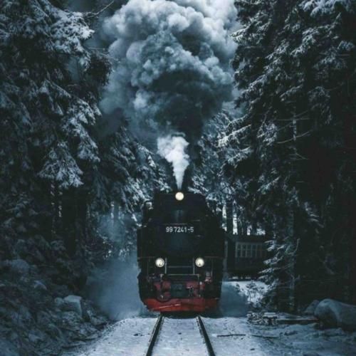 رفتم پشت بوم قالیچه تکوندن