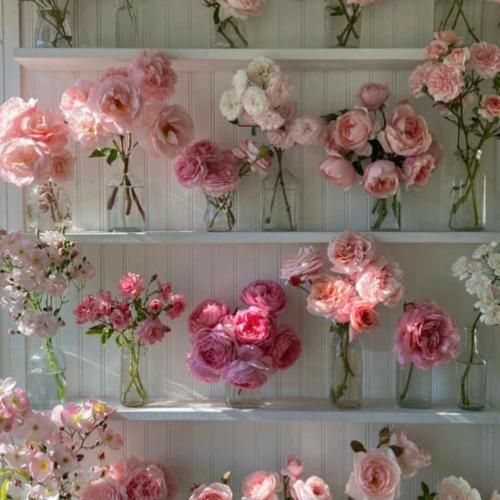 سنگسار داستان مریم بود