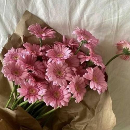 شبو هرشب توی رویای منی تو امید دل