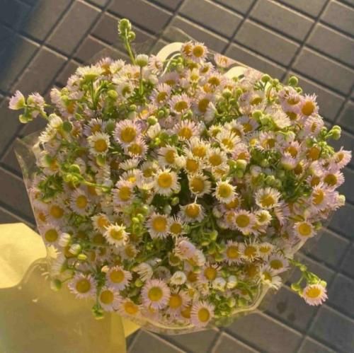 چه جوری با دلم سر نبودنت کنار بیام – هوش مصنوعی