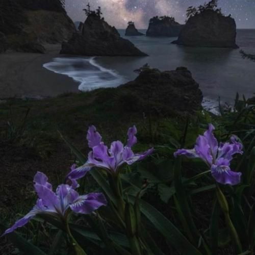 همه دنبالم یه مینی بوس دنبالتم مثل ماشین عروس