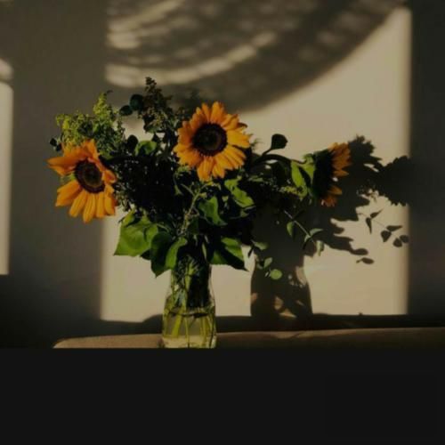 آرزوم اینه فقط مال تو باشم ای کاش