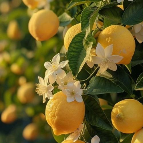 جون هرکی دوست داری یه چیزی بگو نمیخوام