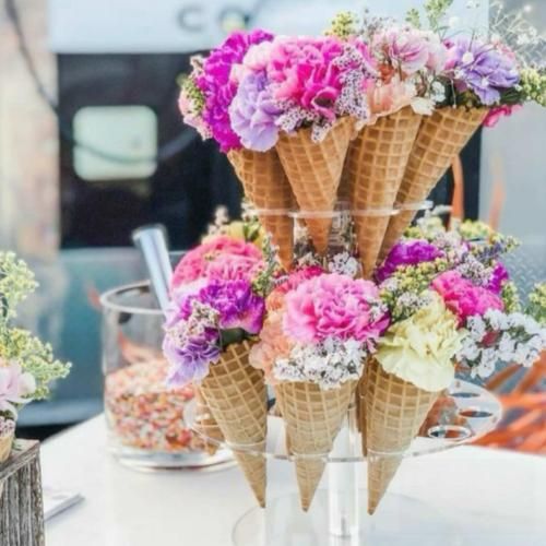 عرق سگی زدی یه ذره پنیر و کره میزنی ورژن کنسرت