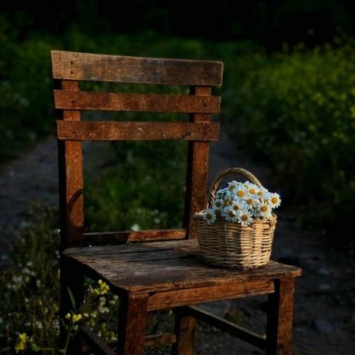 خوشگلا باید برقصن خوشگلا باید برقصن