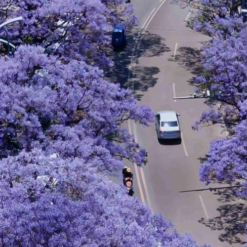 وقتی صدای پاهات می پیچه تو کوچمون