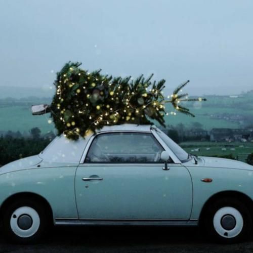 دیگه با خودم تو قمار کردنم کلی سنگینی روی دوشم