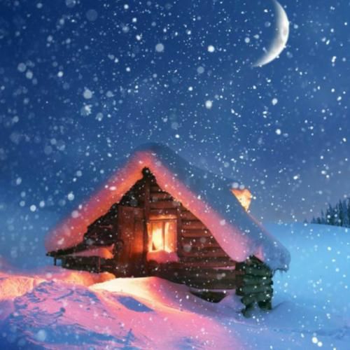 دنیا که کربلایه تو تر سینه بزن