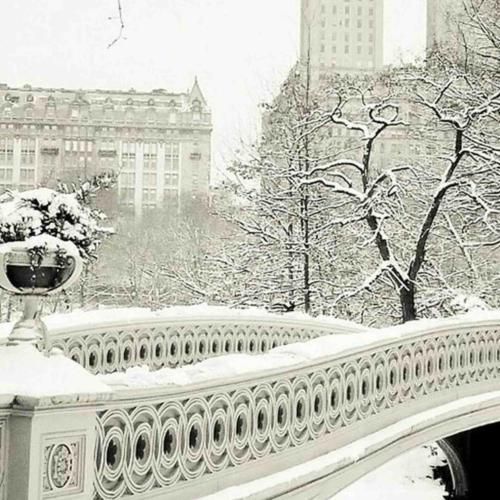 حالا گذشته اون روزا برفی شدن روزای ما