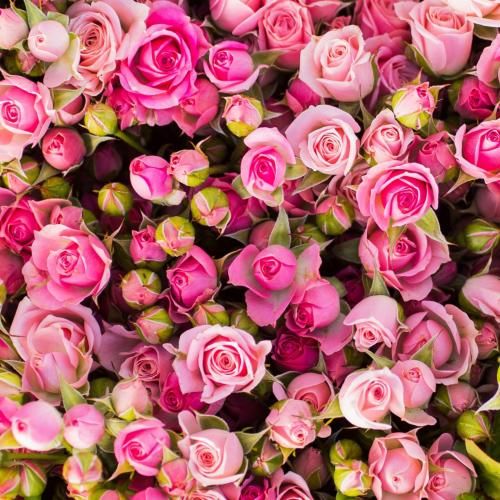 شیرین شیرینا خانوم خانوما خوشگل شدی امشب