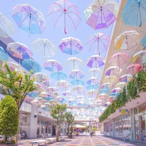 عجب قد و قواره ای عجب شکل و شمایلی