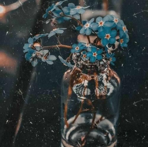 تو ای باغ گلم نوبر بهارم – ترند اینستا