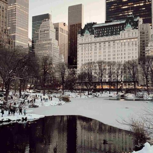 همه چیم یار یار قربون تو وای وای