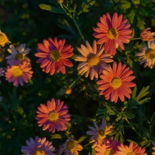 من ازت خیلی توقع داشتمو خیلی عقب موندی ازم