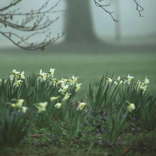 سلام دریا دلم تنگه واسه لیلا آهای دریا – هوش مصنوعی