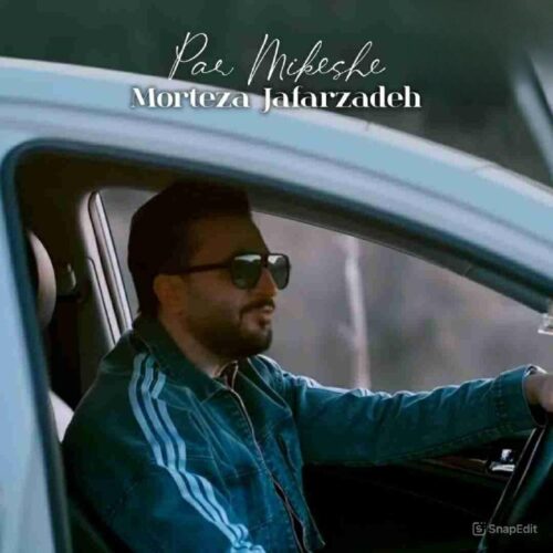 دانلود آهنگ مرتضی جعفرزاده به نام پر میکشه