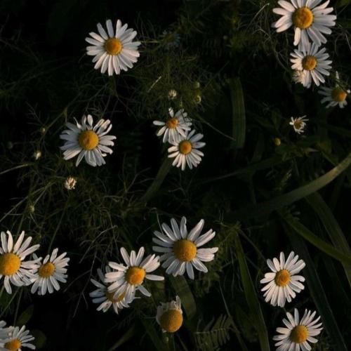 زیدارو بلاک بکنید پولارو خرج نکنید ولنتاین