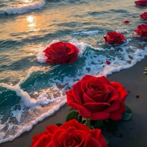 شبا بیداروم راحت نداروم یاروم کجایه طاقت نداروم