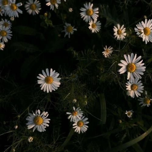 تو که حس قشنگه حالمی حالمی عشق تو