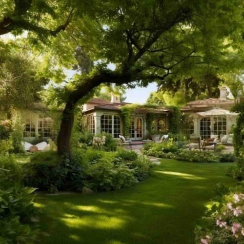  پسر ایرونی هم کوچته دیوار به دیوار خونته