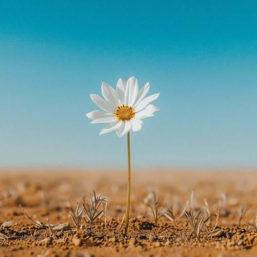 یکی دیگه به جای من از اون کوچه رد میشه – هوش مصنوعی