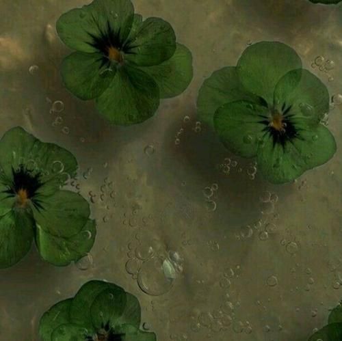 یه روزو روزگاری بود همه چی عالی بود توی دلا