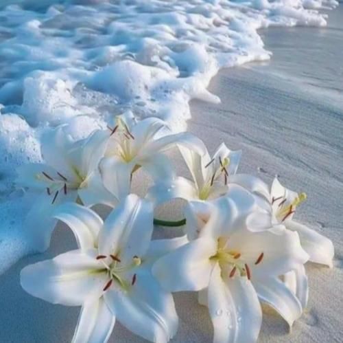 خدا نیامرزه منو که پشت پا به دل زدم