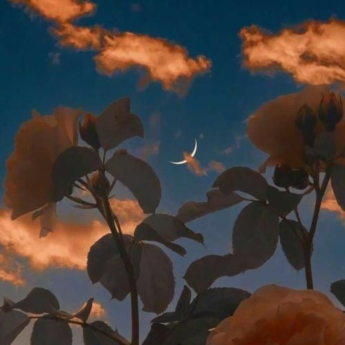 آخه بابا پیرت بسوزه عاشقی