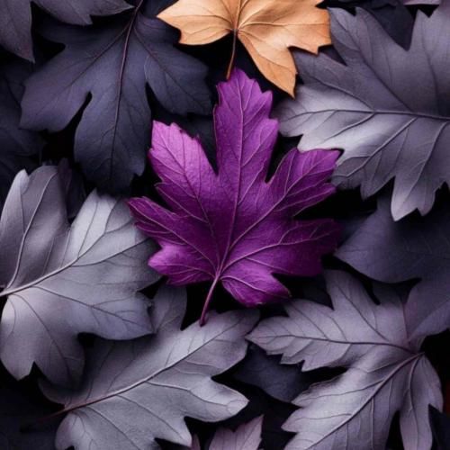 تو که خوشگل و شهره عالمی