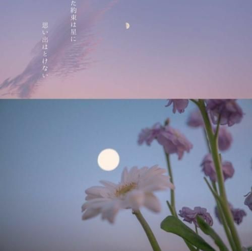  آلاله غنچه کرده کاش بودی و میدیدی