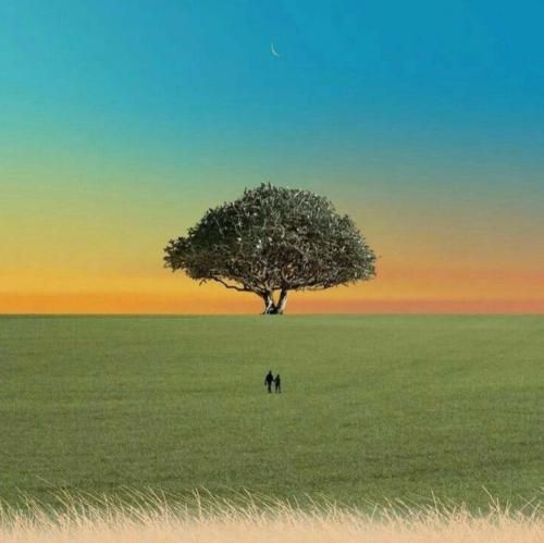  نشسته روی نیمکت یه پارک شهر خالیو