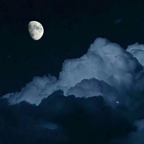 امسال که نشد ولی خب سال دیگه