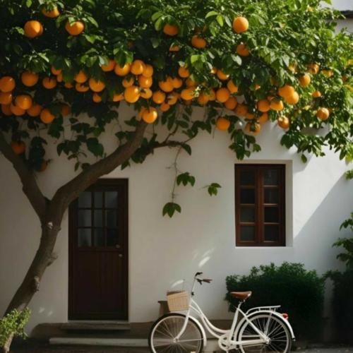  به خدا تو دلم نمی‌تونه بگیره کسی جز تو – هوش مصنوعی