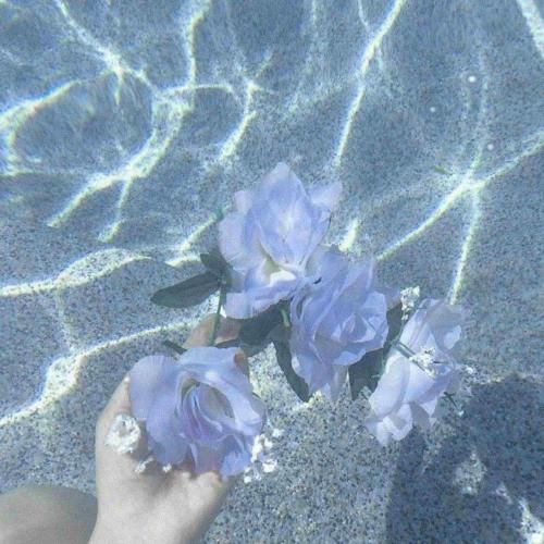 عاشقم عاشق خوندن غمو از دلا پروندن