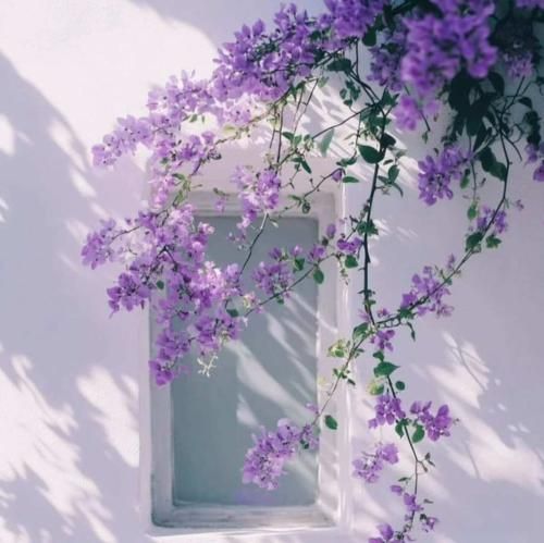  خارجی اگه با اکست تموم کردی برو سراغ بعدی