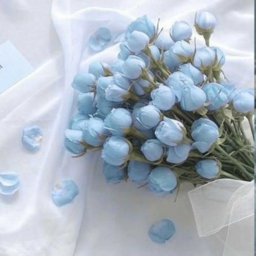  هر شب تو رویای خودم آغوشتو تن میکنم