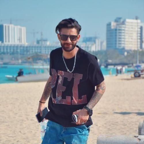 رضا رادین برگرد