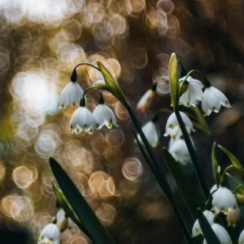  حالا تو عاشقی یا من مکن جور و جفا با من