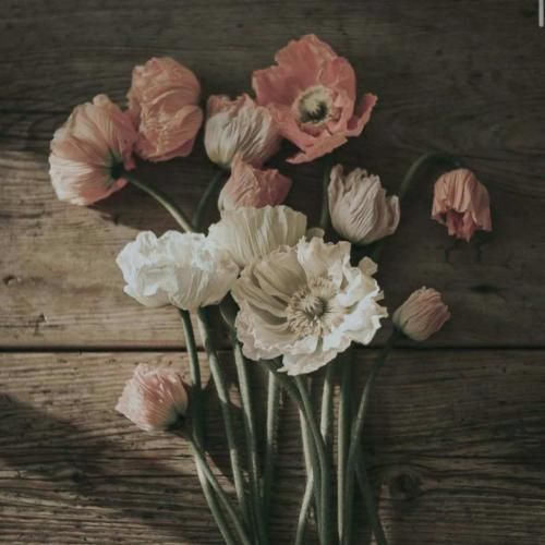 بزن قدش برو بعدش این آدم به آدم عادت نداره