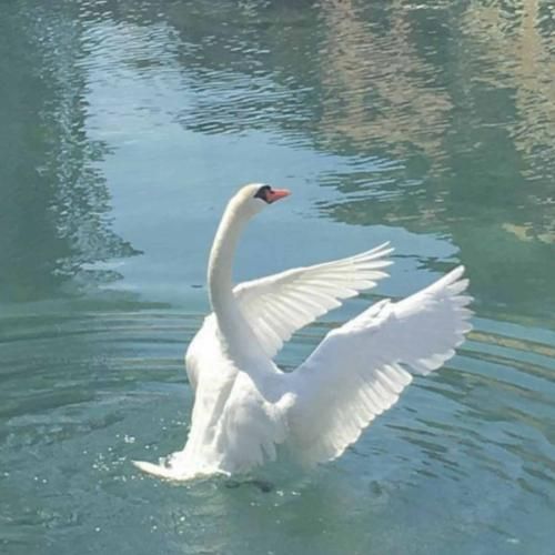  بودی تو باعثش دستامون جدا بشه