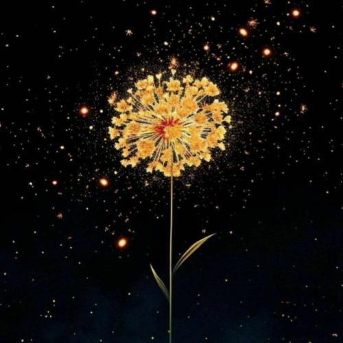  امشب شده ول بشو تو بغلم ول بشو