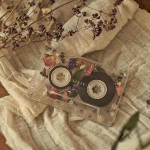  وقتی تو نیستی قلبم و واسه کی تکرار بکنم