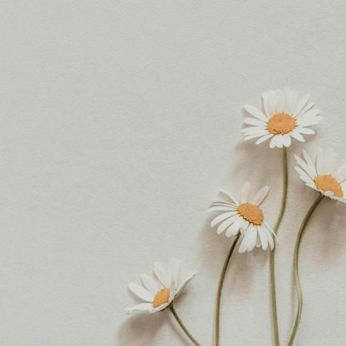  خدا یعنی به خود آ بی نظیره بی نظیر آقا بالا سر نخواستم