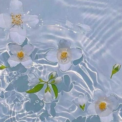  فینیتو فینیتو بدو بگیر سریع بلیط رو چرا من