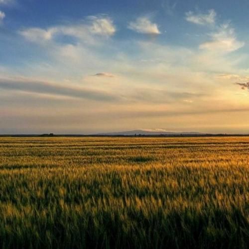 وضعم کویته واو دستم دونیته