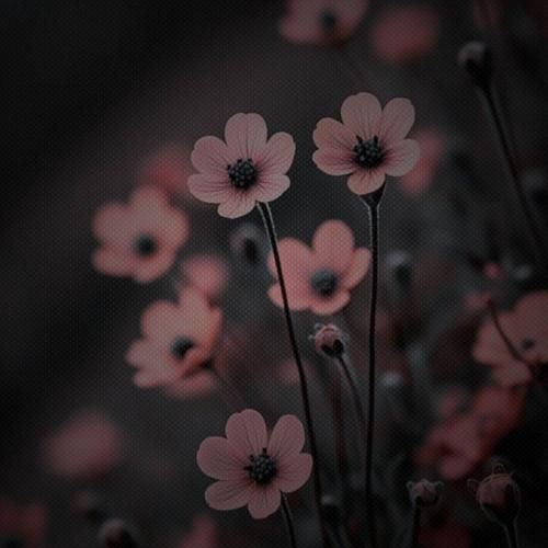 بازی تازه داره هارد میشه من موتورم قوی تر