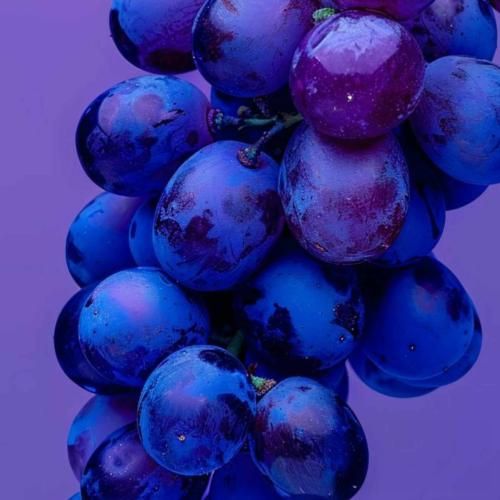  با همه لاس میزنم یه زنگ به عباس میزنم