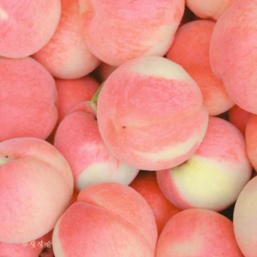  مستی با تو قشنگه راستی با تو من که دلدار میمونم