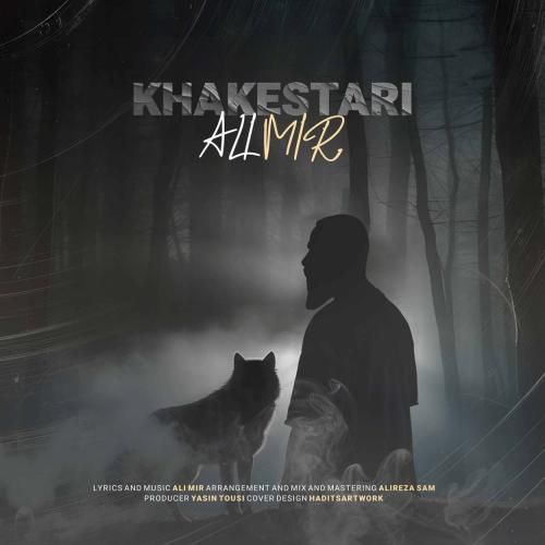 علی میر خاکستری