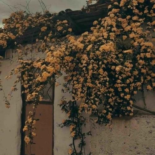 عاشقم تویی که همیشه میمونی تو قلبم – هوش مصنوعی